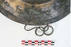 Foto von Bronzebreitrandschale (NHMW-PRAE-024476)
